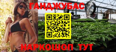 амф Гай