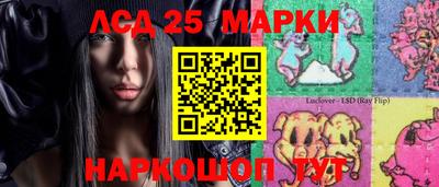 дмт Гатчина