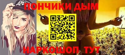 дмт Гатчина