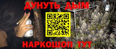 крисы Гагарин