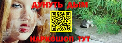 дмт Гатчина